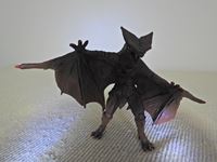 �N���b�N����Ƒ傫���\�����܂��B