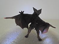 �N���b�N����Ƒ傫���\�����܂��B