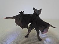 �N���b�N����Ƒ傫���\�����܂��B