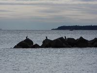 �N���b�N����Ƒ傫���\�����܂��B