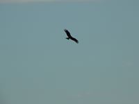 �N���b�N����Ƒ傫���\�����܂��B