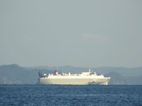 �N���b�N����Ƒ傫���\�����܂��B