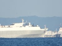 �N���b�N����Ƒ傫���\�����܂��B